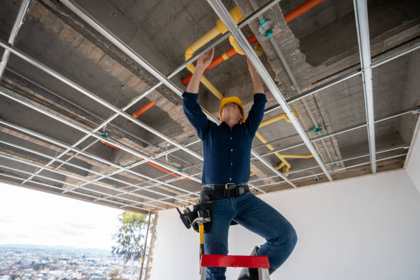 Best Clogged Drain Plumber  in Loveland, CO